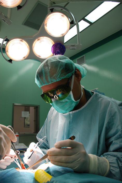 CIRUG&Iacute;A DE LA HERNIA DE HIATO Y DEL REFLUJO ESOFAGOG&Aacute;STRICO