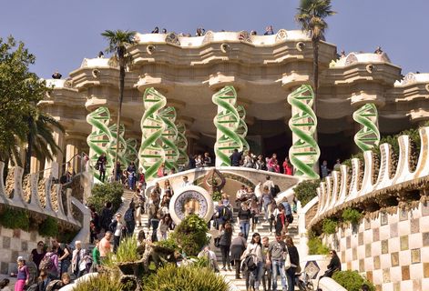 Descubierta una prote&iacute;na que evita el envejecimiento de las c&eacute;lulas del coraz&oacute;n