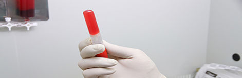 Unidad de Biocirug&iacute;a y Medicina Regenerativa Aplicada