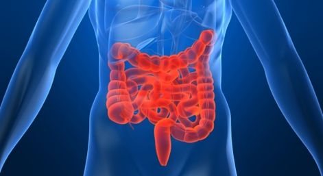 Investigaci&oacute;n en CANCER DE COLON
